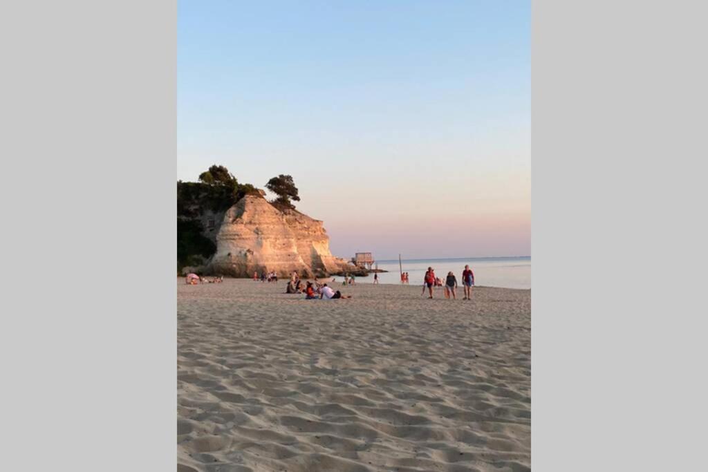 Maison Au Coeur De Meschers - Proche Des Plages Luaran gambar